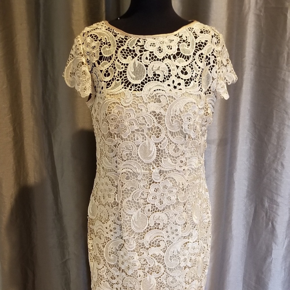 All occasions dress